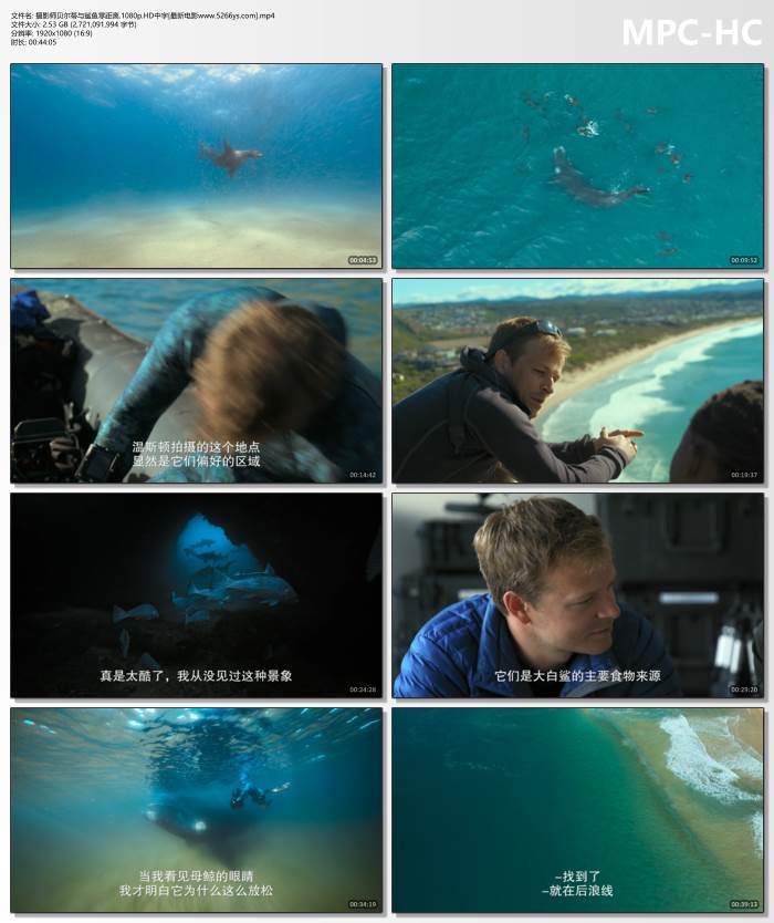 高密度口碑新片